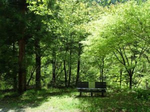 緑濃い20番・西山広場