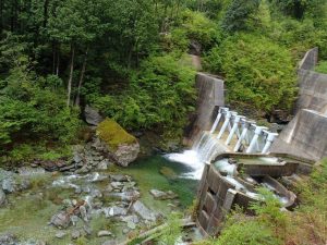 緑濃く，水位高し・第二(新)堰堤_0428