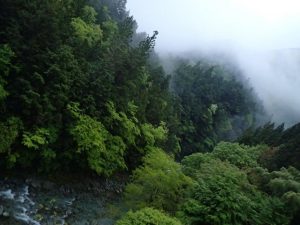 倶楽部ハウス対岸の雨景色_0506・夕刻