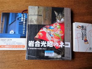 最近のマイブーム・猫本