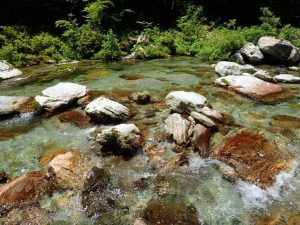 集会所前吊り橋上流の清冽_0603