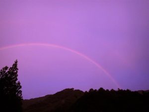 雨上がり虹ッ！！_0625　PM0730