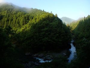 快晴早朝の「お大師様」下_0610_1