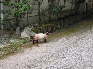 「飯も食ったし・・帰るとスッカ」セイ君