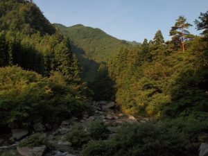 20番・竹の畝沢(西山広場) 上流部の朝_0721