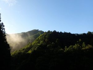 快晴朝ッ中野川_0718