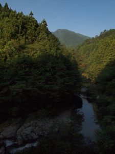 お大師様下の朝_0721