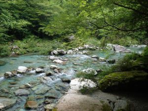 ライズ多発ポイント，，あそこです_0704