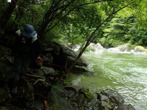 「増水だけど．．ナントカ釣りできそう↑」の入渓者さん_0709