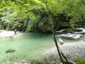 岩盤沿いの大物が・・