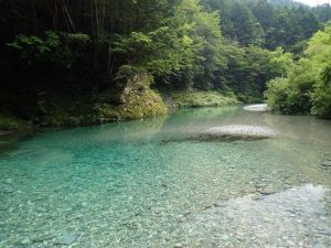 梅雨強雨で中州出現⇒手前プールに良型が！！_0704