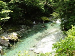 三年ぶりの中野川はド～でしたか？