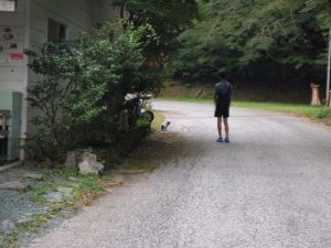 入渓者さんが 「('ω')ノ (ｵｰｲ)」 と呼んだら・・「何ですか！？，ご飯食べたし．．もう帰るんだけど」 と