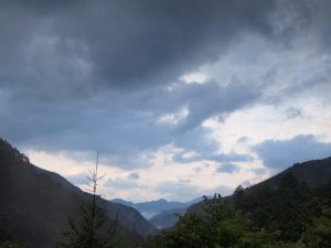 25番・二本杉遠景，雨あがり_PM0540・0731