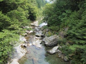 根須木橋(赤橋)下流部，チョイ減水傾向_0803