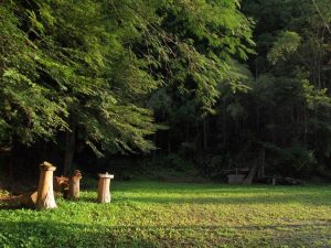 中野川・丸太オブジェの朝