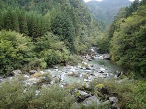 20番の上流部での入渓者さん_0923