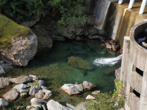 本日朝の二号(新)堰堤・堰堤を流れ落ちる水量かなり減少_0902