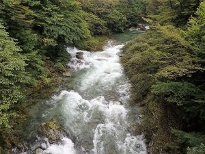 根須木橋赤橋上流，根須木沢合流点_AM0939・0928