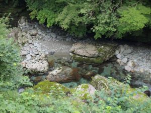 夕刻のテラス下・平水＋5～10cm弱程度_0908