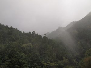 雨の夕刻で・・早めの「何」です_0912