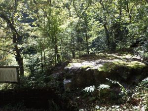 大森神社手前の桟敷石