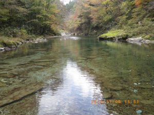 上の岩魚はこのタラーッとしたプールの真ん中でキャッチ(エライ難しいポイント)，ロングキャストで-photo-by-入渓者Ｋさん-from-新居浜_1106