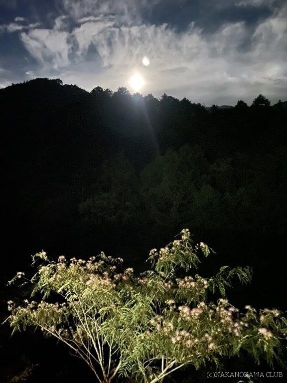 この画像には alt 属性が指定されていません
