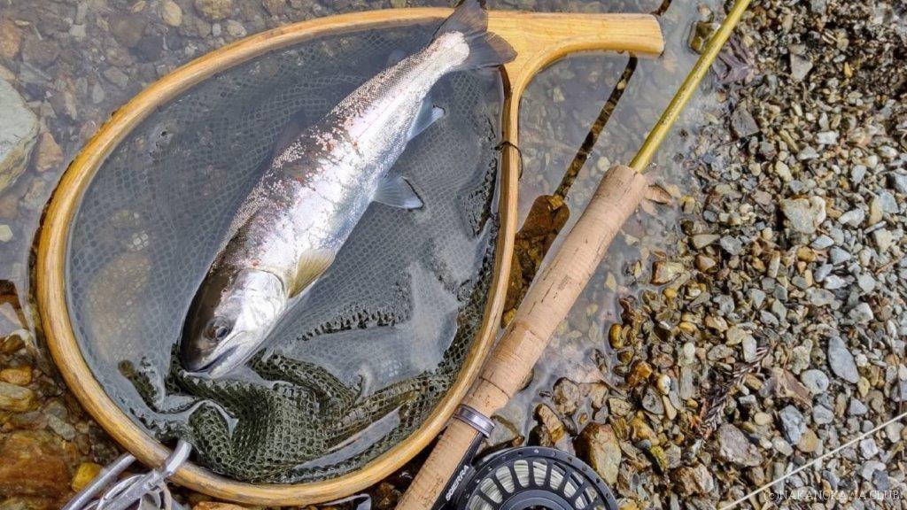 画像に alt 属性が指定されていません。ファイル名: 44_廣井さん仁淀川_0129-1-1024x576.jpg