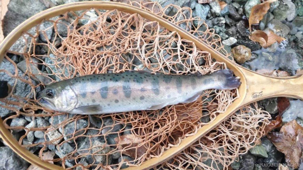 画像に alt 属性が指定されていません。ファイル名: 24_弦間さん_0313-1024x576.jpg