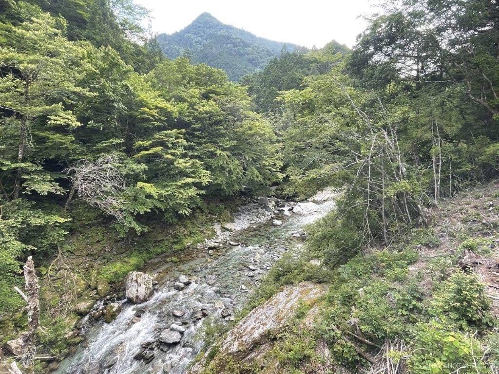 画像に alt 属性が指定されていません。ファイル名: 3_根須木沢入り口付近の中野川川_0613-1024x768.jpg